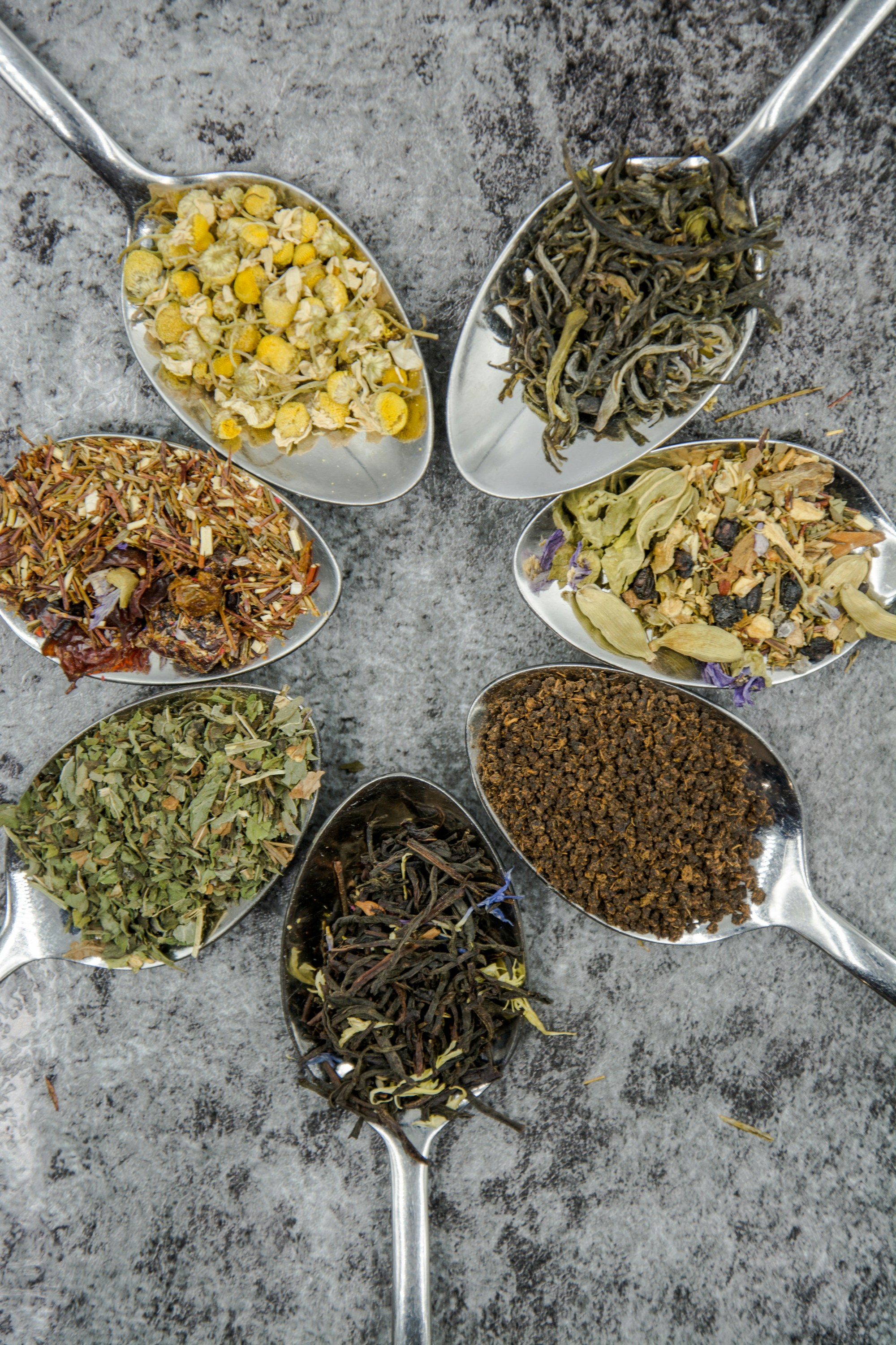 Our Tea Masters